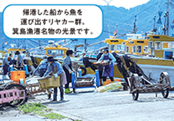 帰港した船から魚を運び出すリヤカー群。箕島漁港名物の光景です。