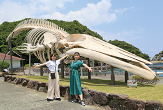 地球最大動物「シロナガスクジラ」の原寸大標本。