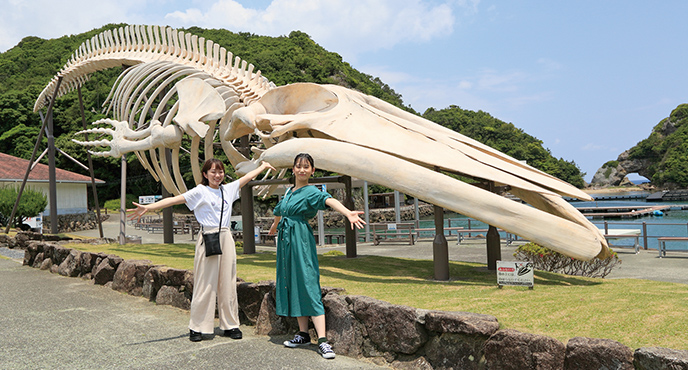 地球最大動物「シロナガスクジラ」の原寸大標本。