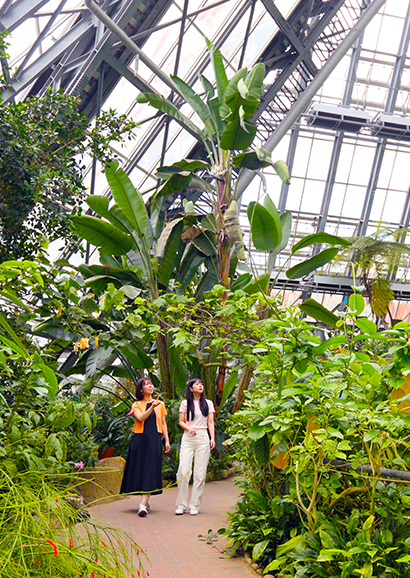 四季折々の花が咲き競う自然豊かな植物園