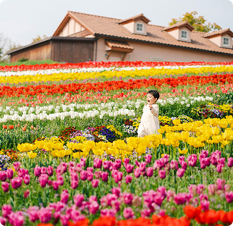 自然豊かな体験型農業公園